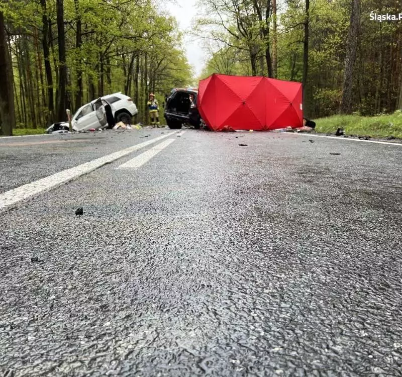 Tragiczny wypadek na granicy miast Bargłówka i Trachy. Policja szuka świadków!
