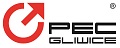 Logo PGNiG - Polskie Górnictwo Naftowe i Gazownictwo