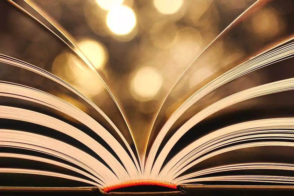 "Czytać, dużo czytać". Spotkanie autorskie z Ryszardem Koziołkiem w Gliwicach / fot. Pixabay