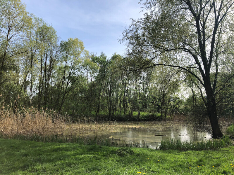 Gliwice inwestują w zieleń – ponad 3 mln zł na nowy park w centrum miasta