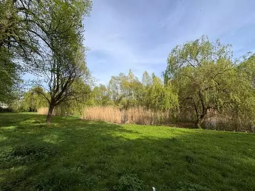 Kolejne zielone tereny w Gliwicach zyskają nowy wygląd
