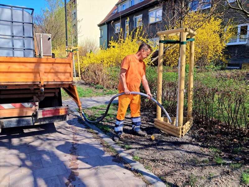 Nie tylko nasadzenia. Ważna jest odpowiednia pielęgnacja!