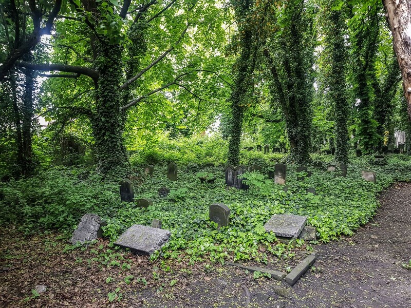 Przed nami Dzień Otwarty na starym cmentarzu żydowskim Na Piasku