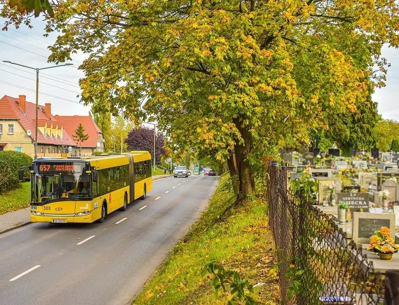 Specjalna oferta komunikacji miejskiej na okres Wszystkich Świętych