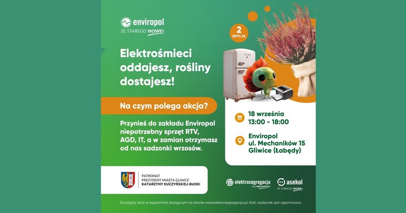 Wrzosy za elektrośmieci. Weź udział w eko-akcji i zabierz do domu nową roślinkę