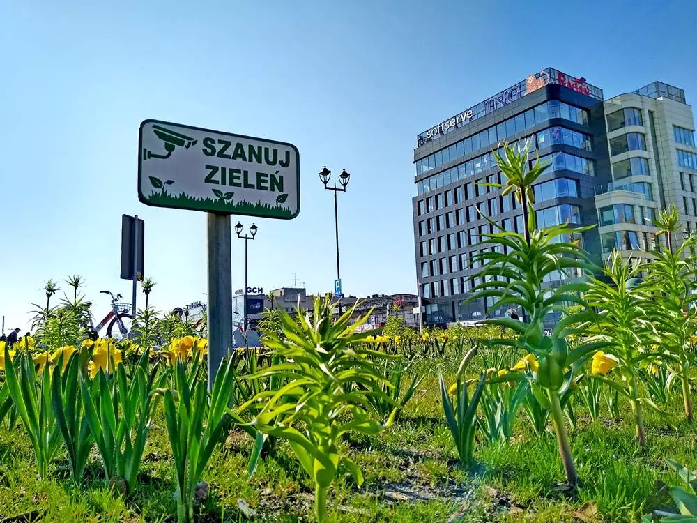 #zielonegliwice W trosce o środowisko / fot. UM Gliwice